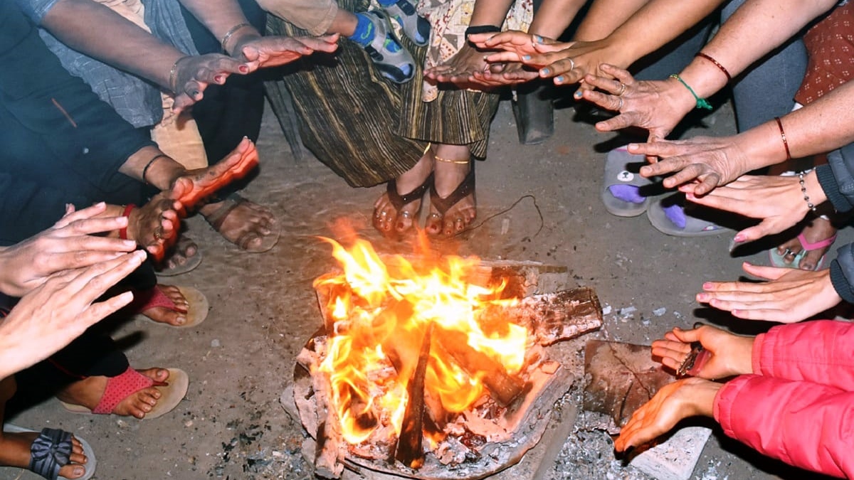 naidunia_image